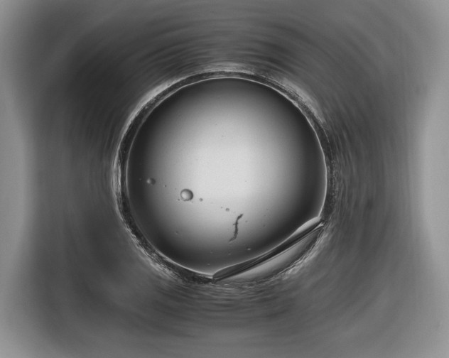 X0000116661125200912211502