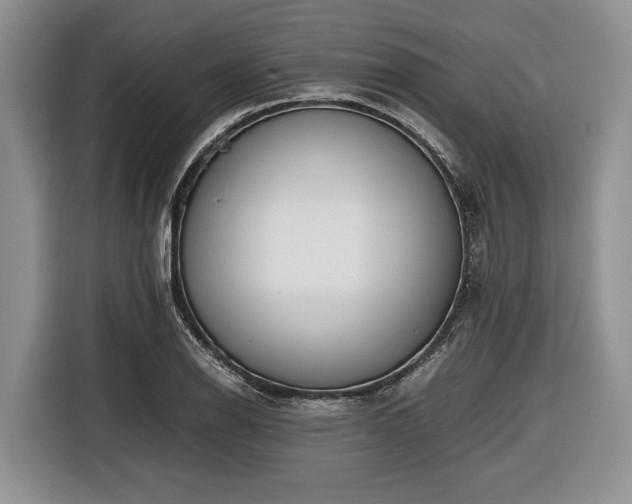 X0000116661126200912211502