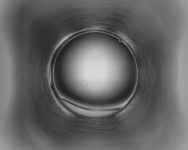 X0000116661127200912211502