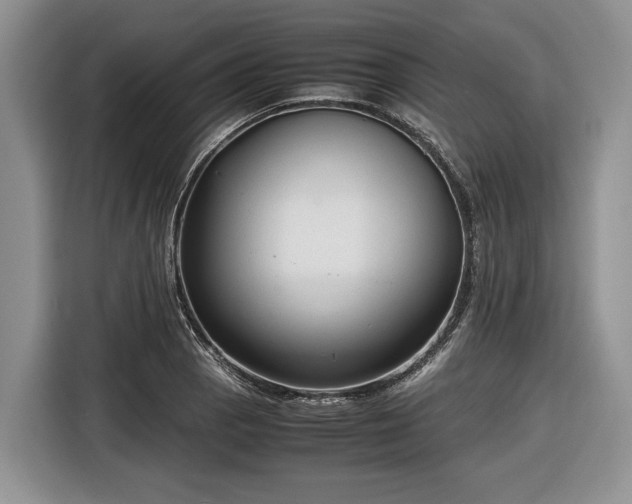 X0000116661129200912211502