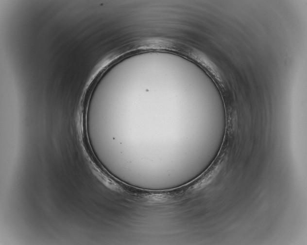 X0000116661130200912211502