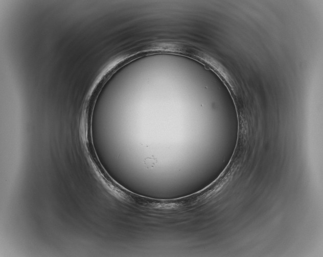 X0000116661131200912211502