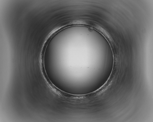 X0000116661133200912211502