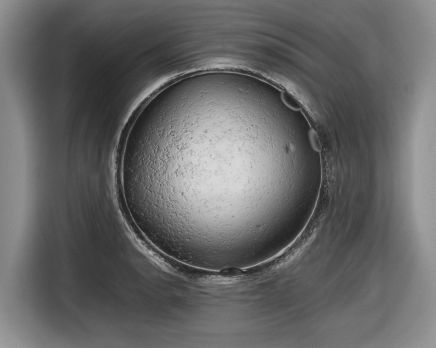 X0000116661134200912211502