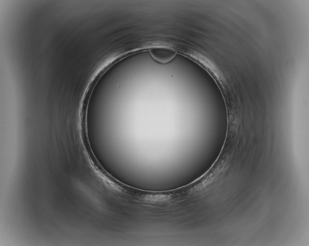 X0000116661135200912211502