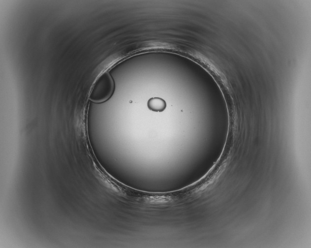 X0000116661137200912211502