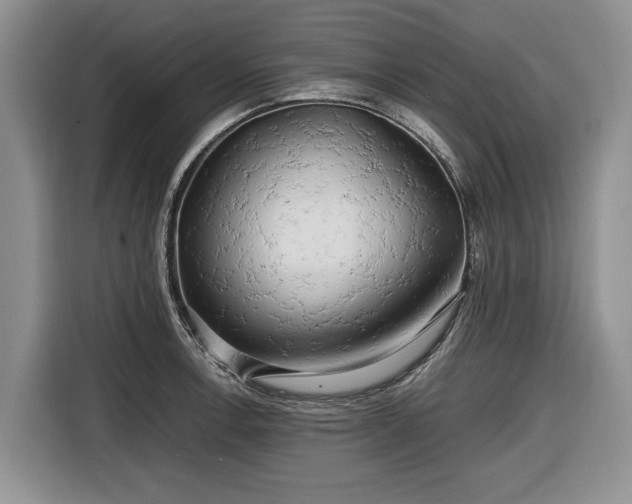 X0000116661138200912211502