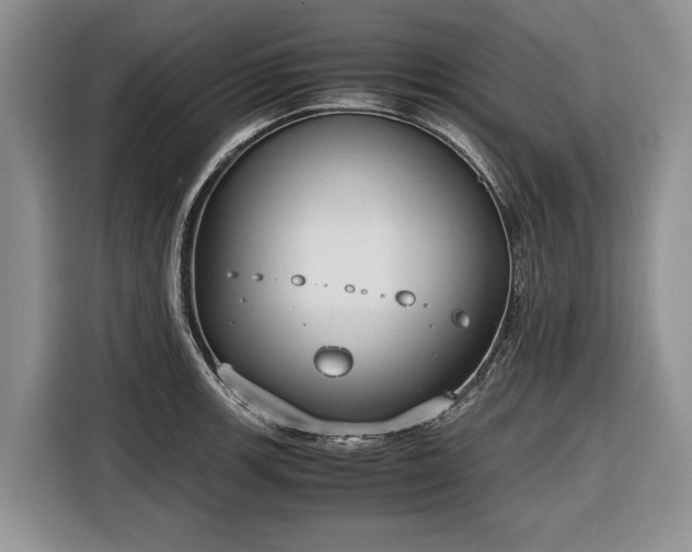 X0000116661139200912211502