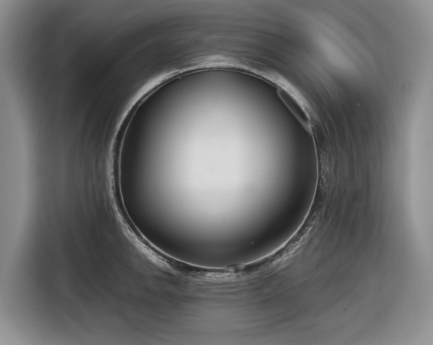 X0000116661142200912211502