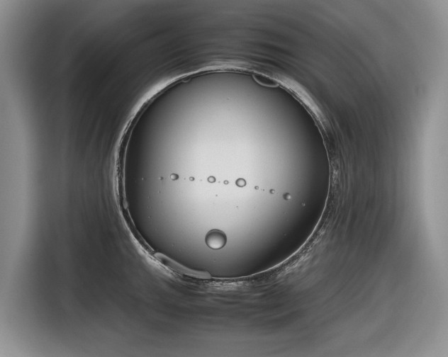 X0000116661143200912211502