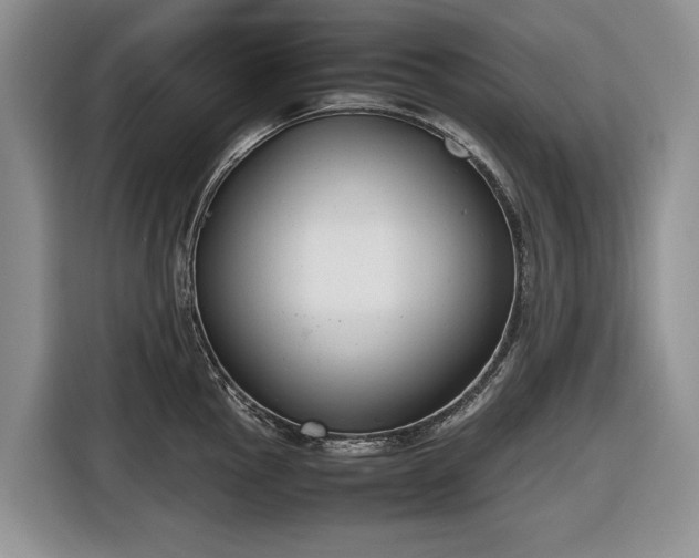 X0000116661145200912211502