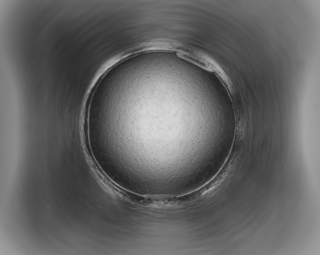 X0000116661146200912211502