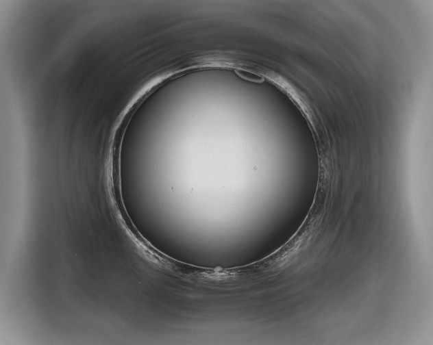 X0000116661147200912211502