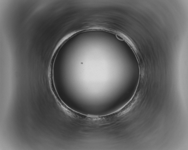 X0000116661149200912211502