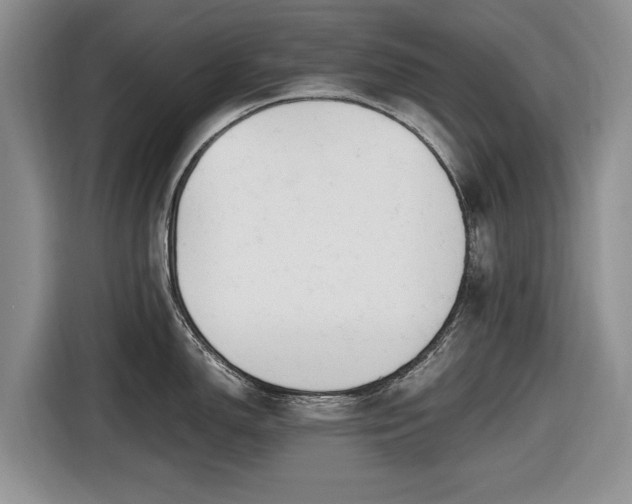 X0000116661150200912211502