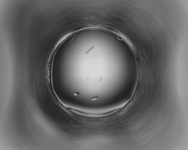 X0000116661151200912211502