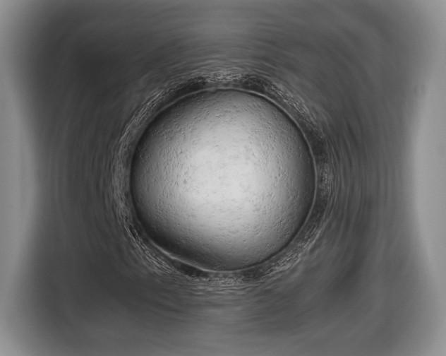 X0000116661153200912211502