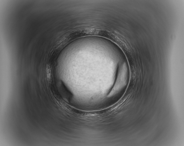 X0000116661154200912211502