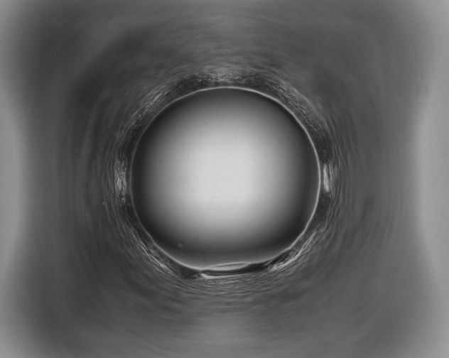 X0000116661155200912211501