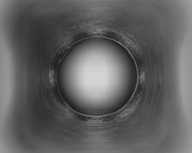 X0000116661156200912211501