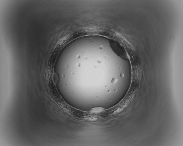 X0000116661157200912211501