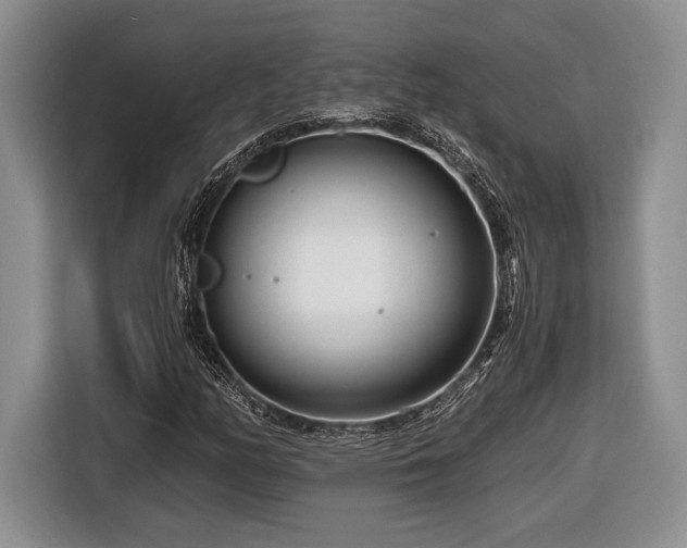 X0000116661158200912211501