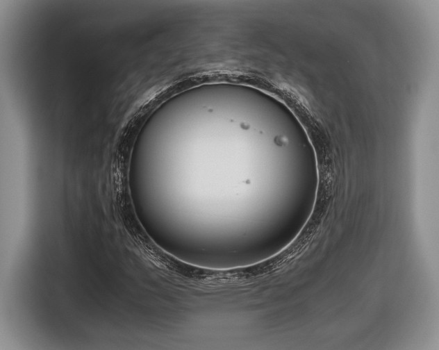 X0000116661159200912211501