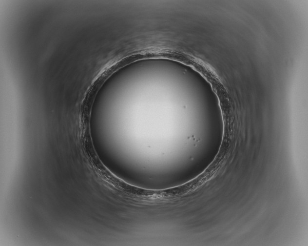 X0000116661160200912211501