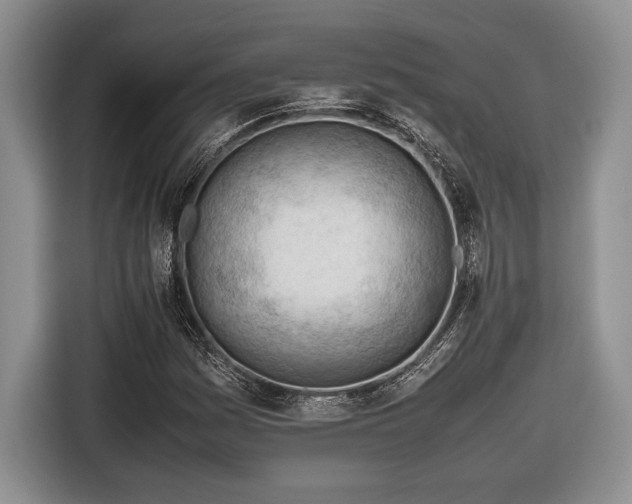 X0000116661161200912211501