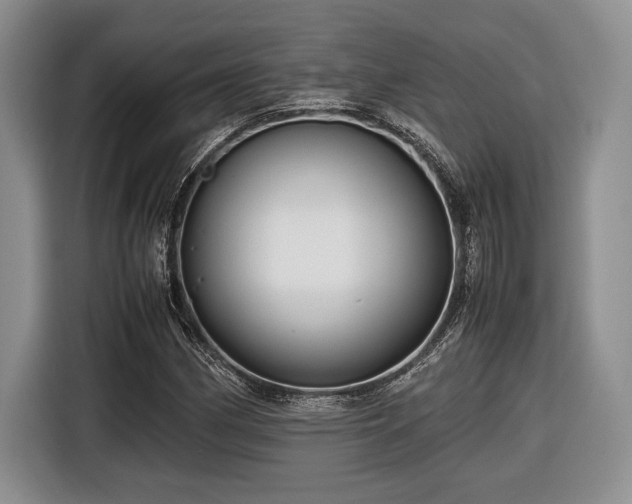 X0000116661162200912211501