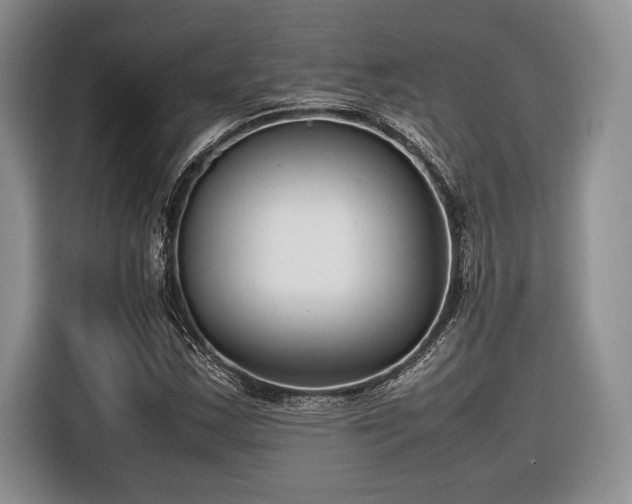 X0000116661163200912211501