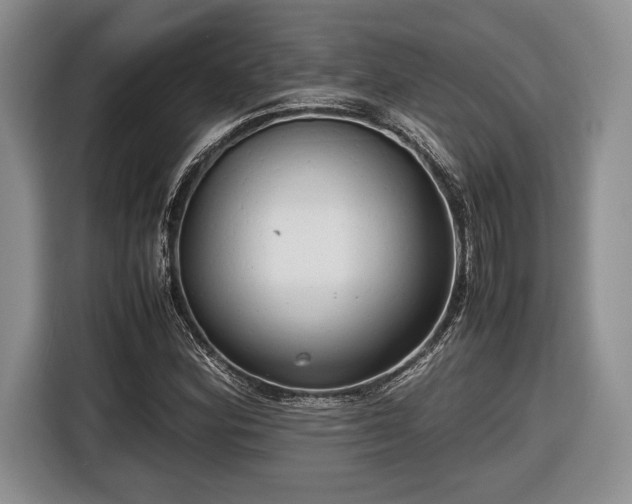 X0000116661164200912211501