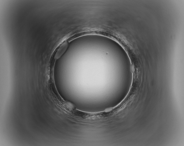 X0000116661165200912211501