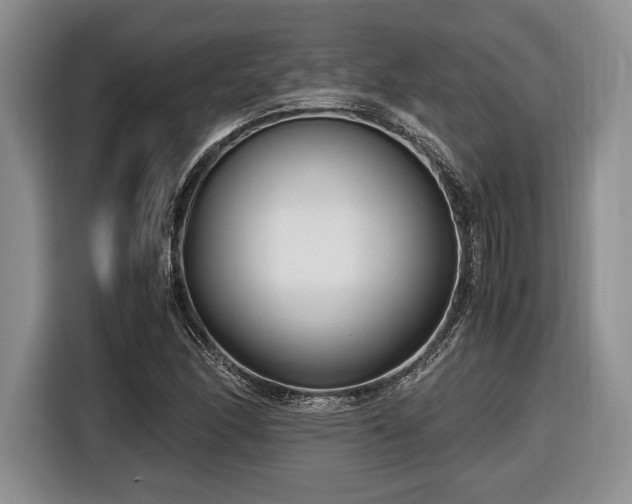 X0000116661166200912211501