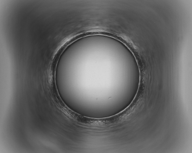 X0000116661167200912211501