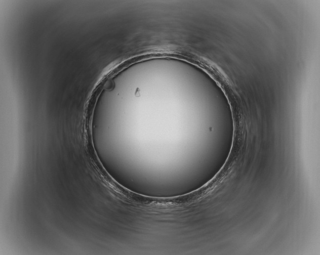 X0000116661168200912211501