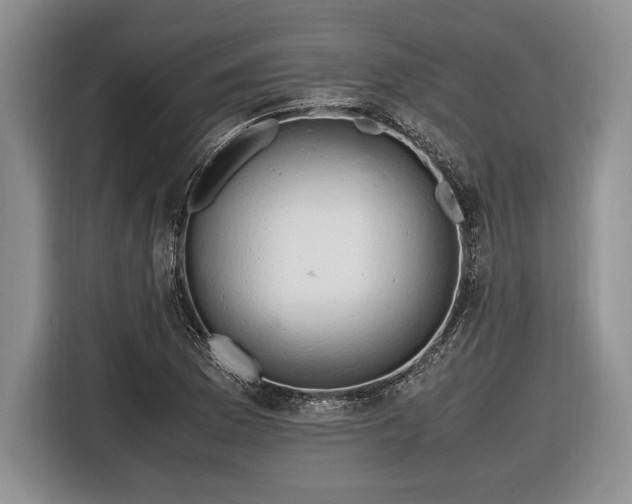 X0000116661169200912211501