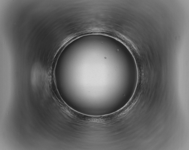 X0000116661170200912211501