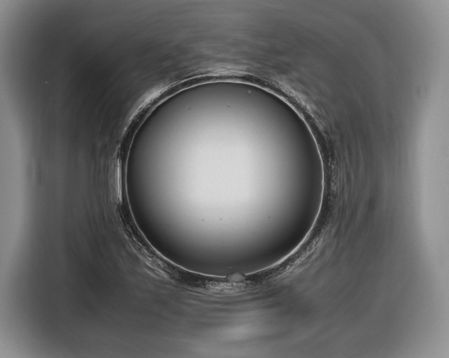 X0000116661171200912211501