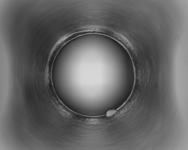 X0000116661172200912211501