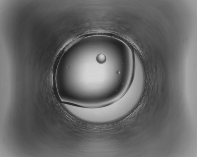 X0000116661173200912211501