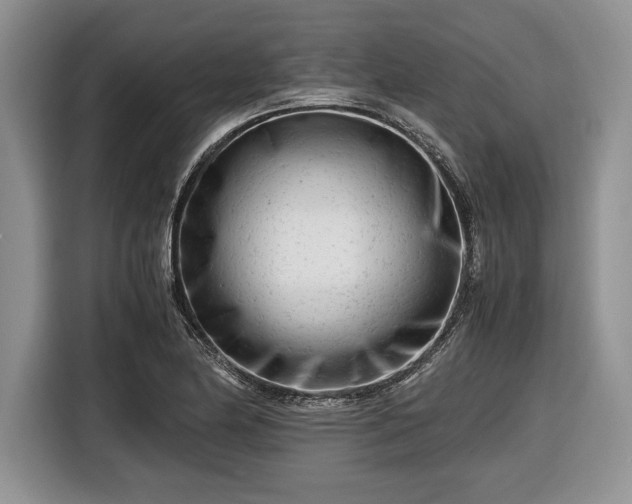 X0000116661174200912211501