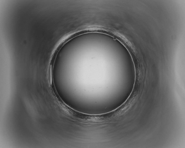 X0000116661175200912211501