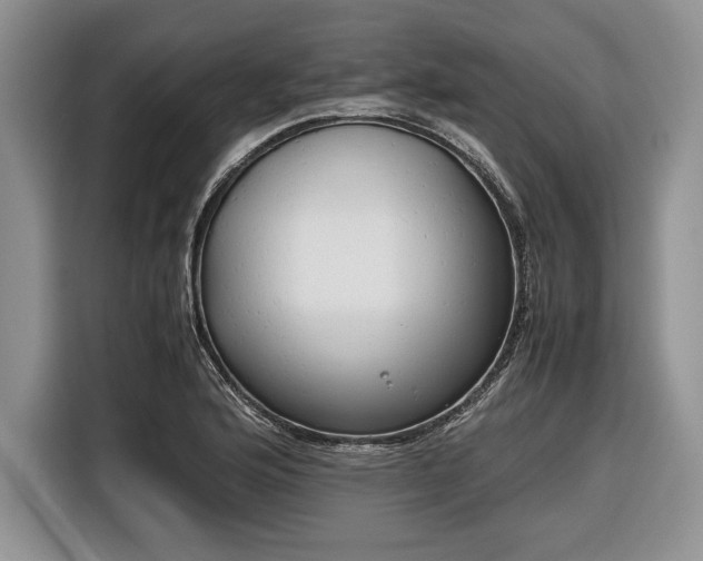 X0000116661176200912211501