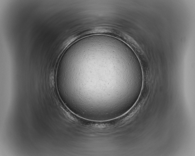 X0000116661177200912211501