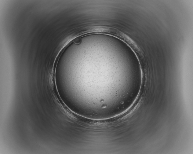 X0000116661178200912211501