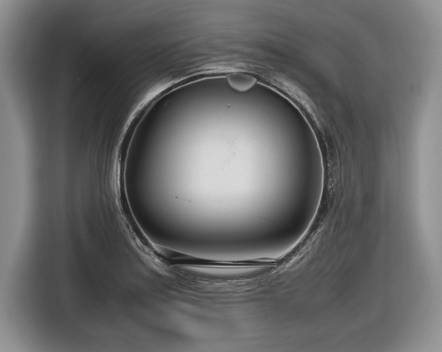 X0000116661179200912211501