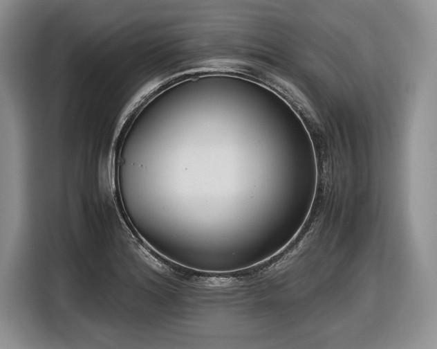 X0000116661180200912211501