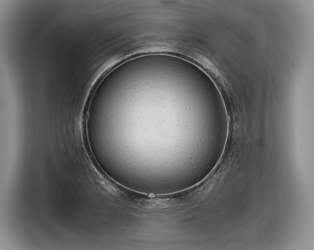 X0000116661181200912211501