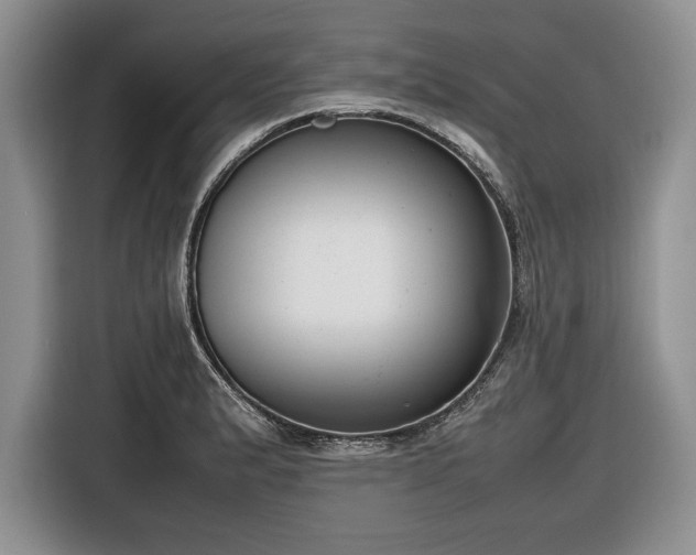 X0000116661183200912211501